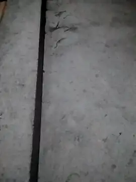 Snapshot of rickkis2k chatting on December 2025 10:15:01 PM rickkis2k online show from December 2025 10:15:01 PM