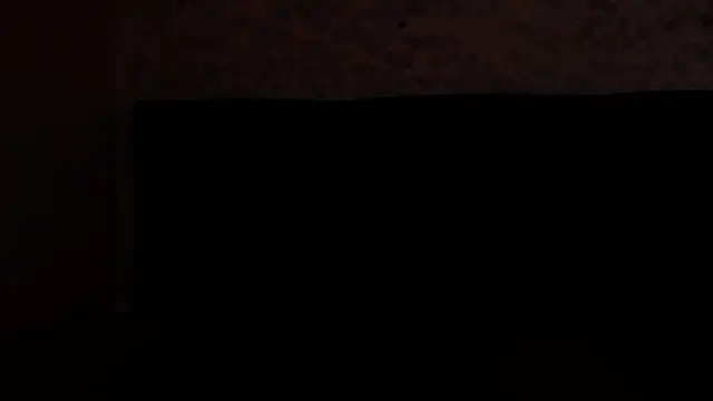 Snapshot of SavageLover_ chatting on November 2025 03:51:01 AM SavageLover online show from November 2025 03:51:01 AM