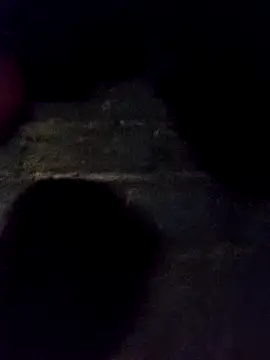 Snapshot of bella-la chatting on November 2025 11:25:01 AM bella-la online show from November 2025 11:25:01 AM