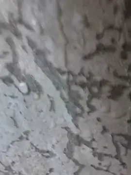 3zekie1 online show from October 2025 02:20:01 PM