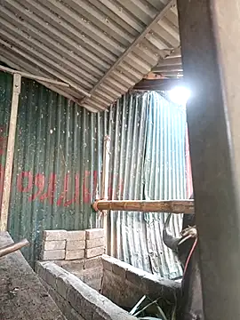 Snapshot of yoyo-mi chatting on November 2025 12:56:02 AM yoyo-mi online show from November 2025 12:56:02 AM