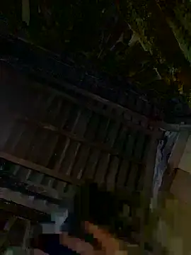 Snapshot of Nul-chal chatting on December 2025 05:30:01 PM Nul-chal online show from December 2025 05:30:01 PM