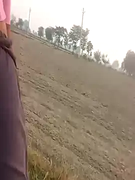 hdtvuy online show from November 2025 11:20:02 AM