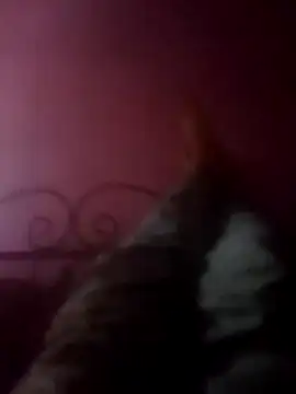 Snapshot of Narwindruners chatting on November 2025 06:53:02 PM Narwindruners online show from November 2025 06:53:02 PM