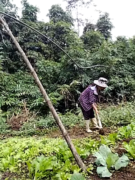 Snapshot of be-yeu chatting on November 2025 02:22:02 AM be-yeu online show from November 2025 02:22:02 AM