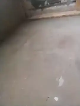 Lollittaxxxx2 online show from November 2025 10:15:01 AM