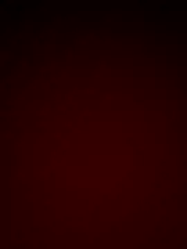 letty125 online show from November 2025 12:16:01 PM