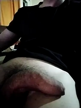 wanpd2 online show from November 2025 01:28:01 AM