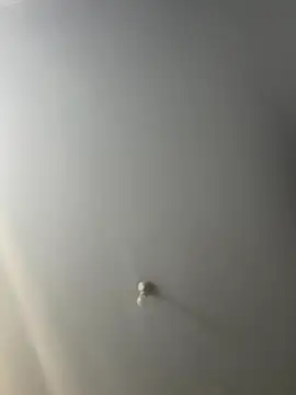 stripboy1b online show from November 2025 07:18:02 AM