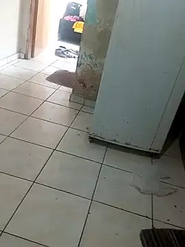 sthefanyy 2025 online show from November 2025 11:20:01 AM