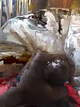 Rider2023 online show from November 2025 10:49:02 AM