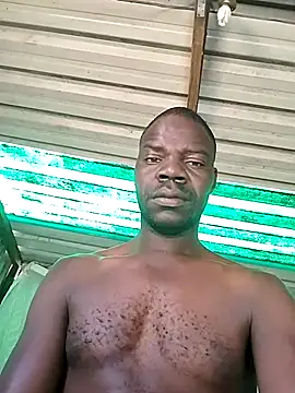 pdck2025 online show from November 2025 06:56:02 AM