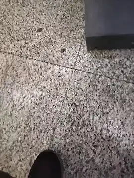 AdoringAssam online show from November 2025 01:48:02 AM