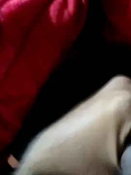 Snapshot of mast_boy chatting on December 2025 08:52:02 AM mast boy online show from December 2025 08:52:02 AM