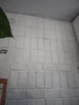 LuXarumi online show from December 2025 07:52:01 PM