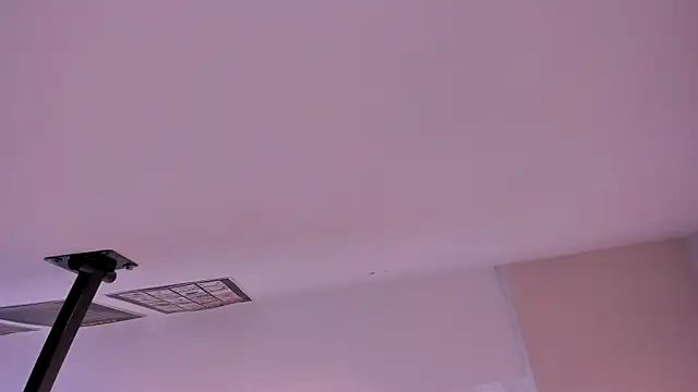 Snapshot of loraineblake chatting on December 2025 07:53:02 PM loraineblake online show from December 2025 07:53:02 PM