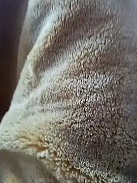 Snapshot of AR7v chatting on December 2025 09:24:01 AM AR7v online show from December 2025 09:24:01 AM