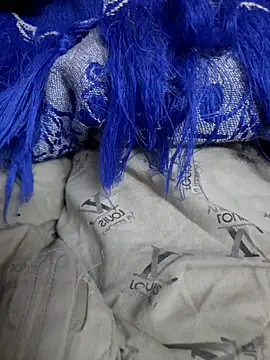 Snapshot of piedic chatting on December 2025 10:14:01 PM piedic online show from December 2025 10:14:01 PM