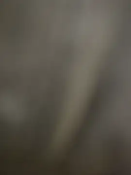 Snapshot of Sammyboii006 chatting on December 2025 06:13:02 PM Sammyboii006 online show from December 2025 06:13:02 PM