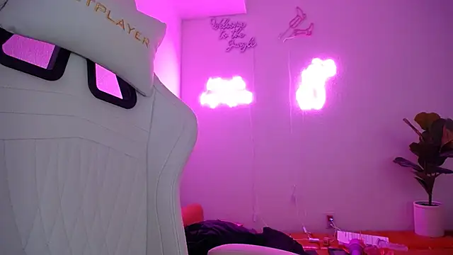 Snapshot of groovynights chatting on March 2025 04:17:01 PM groovynights online show from March 2025 04:17:01 PM