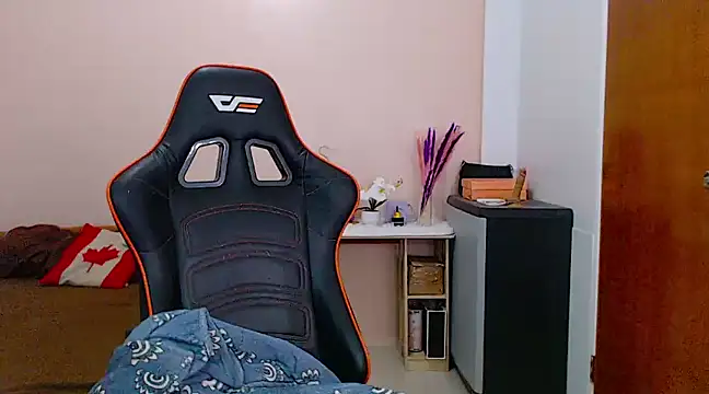 Snapshot of ava_sheeks chatting on February 2025 09:43:01 PM ava sheeks online show from February 2025 09:43:01 PM