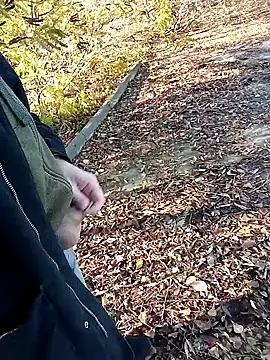 Snapshot of Pokaz2020 chatting on October 2025 11:36:02 AM Pokaz2020 online show from October 2025 11:36:02 AM