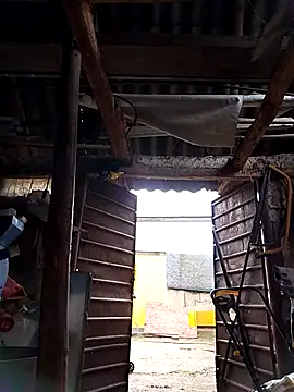 Snapshot of sarpe4 chatting on October 2025 05:27:01 AM sarpe4 online show from October 2025 05:27:01 AM