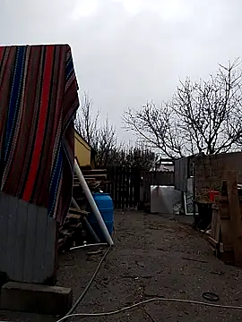 Snapshot of sarpe4 chatting on November 2025 08:56:01 AM sarpe4 online show from November 2025 08:56:01 AM