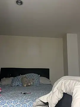 Snapshot of swrennn19 chatting on February 2025 10:47:02 PM swrennn19 online show from February 2025 10:47:02 PM