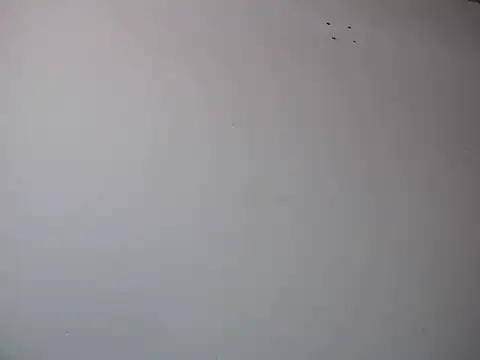 Mia davis01 online show from January 2025 08:14:02 PM