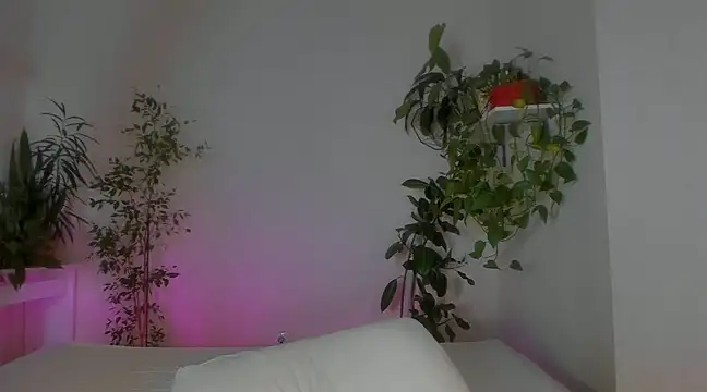 Masha 01 online show from January 2025 01:39:02 AM