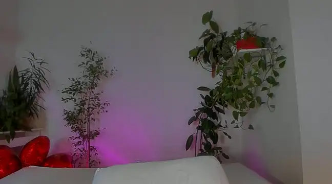 Masha 01 online show from January 2025 03:51:01 PM