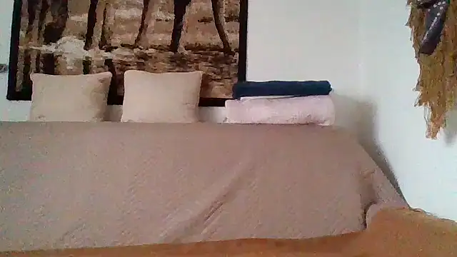 silla online show from November 2025 07:53:02 AM