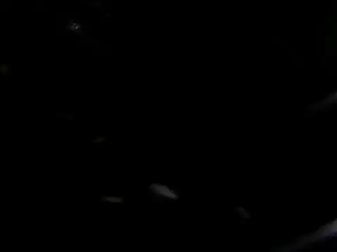 giga-bite online show from October 2025 03:44:02 PM