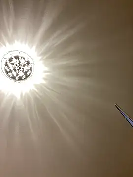 PreciousKittyXO online show from November 2025 01:27:01 AM