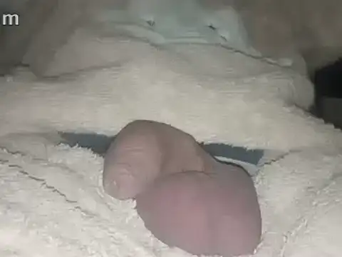 Bigdick666cm online show from February 2025 03:45:02 AM