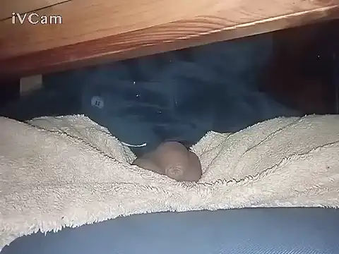 Bigdick666cm online show from March 2025 03:13:02 AM