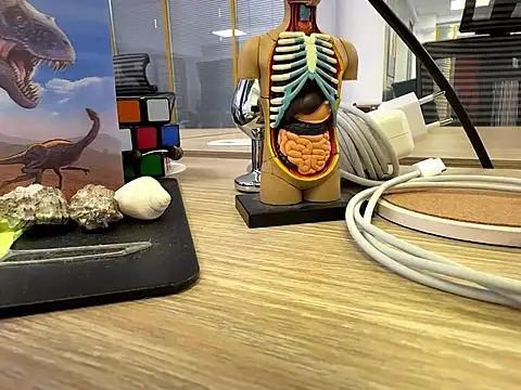 Snapshot of fmodel chatting on September 2025 11:24:02 AM fmodel online show from September 2025 11:24:02 AM