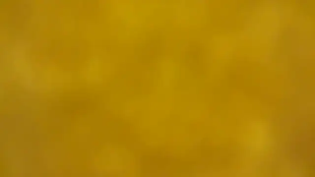 Snapshot of fmodel chatting on December 2025 02:33:01 PM fmodel online show from December 2025 02:33:01 PM