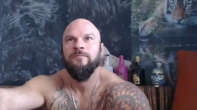 viking 30 online show from September 2025 06:29:02 AM