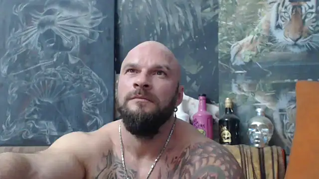 viking 30 online show from October 2025 07:24:01 PM