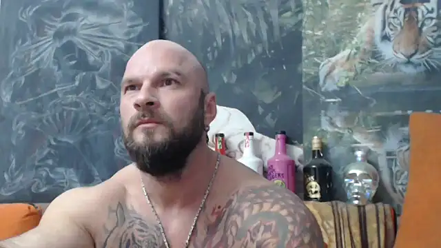 viking 30 online show from October 2025 05:55:01 PM