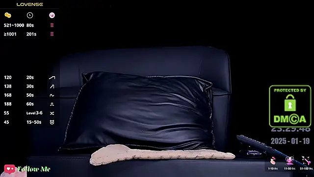 Snapshot of melia_Z chatting on January 2025 03:53:02 PM melia Z online show from January 2025 03:53:02 PM