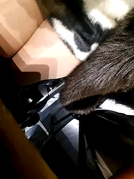 Snapshot of Dirtyfeelin chatting on November 2025 02:43:02 PM Dirtyfeelin online show from November 2025 02:43:02 PM