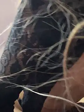 Snapshot of Littlebunny21 chatting on December 2024 10:26:01 PM Littlebunny21 online show from December 2024 10:26:01 PM