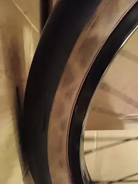 Snapshot of FireFox_Feel chatting on December 2024 03:29:01 AM FireFox Feel online show from December 2024 03:29:01 AM