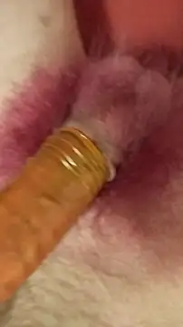 Snapshot of DerWeisser chatting on February 2025 09:29:01 PM DerWeisser online show from February 2025 09:29:01 PM