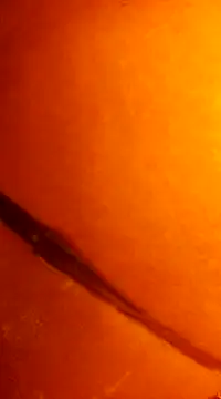 k lebannon online show from December 2024 11:49:02 PM