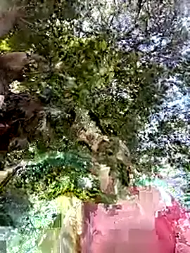 Nicolle Milf online show from September 2025 06:55:02 PM