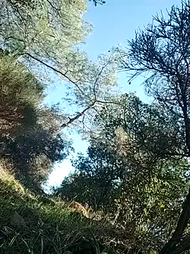 Snapshot of Poyraz6996 chatting on November 2025 11:53:01 AM Poyraz6996 online show from November 2025 11:53:01 AM